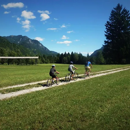 Alpe Daire Kranjska Gora