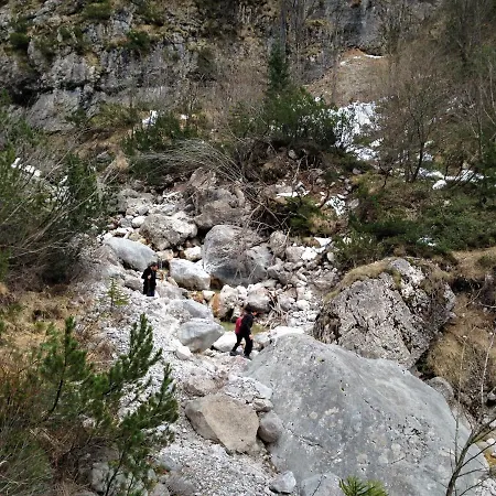 Alpe *