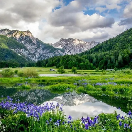 Daire Alpe Kranjska Gora
